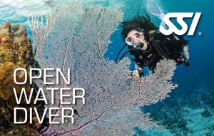 SSI Open Water Diver Dry Suit