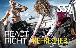 SSI React Right Kombikurs Refresher