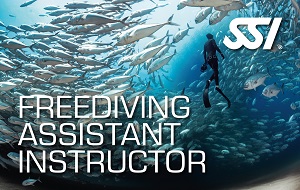 freediving-assistant-instructor